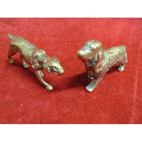 11 - A COLLECTION OF BRASS ANIMALS 12 IN ALL