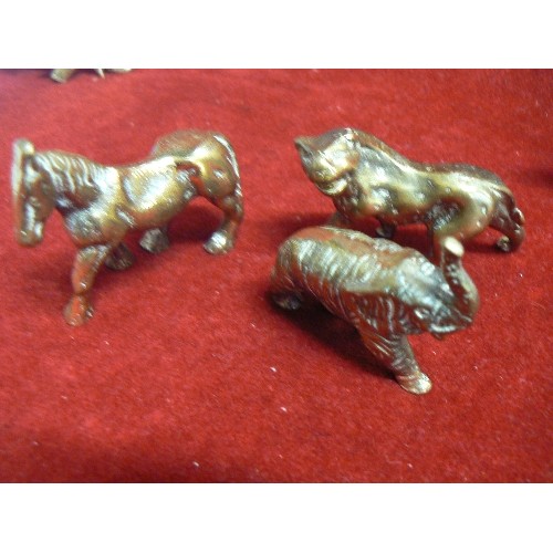 11 - A COLLECTION OF BRASS ANIMALS 12 IN ALL