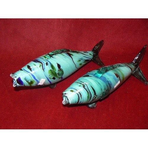 66 - PAIR OF MURANO GLASS FISH IN AQUA GREEN & BLUE. ONE HAS A NIBBLE ON MOUTH.