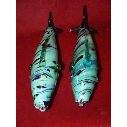 66 - PAIR OF MURANO GLASS FISH IN AQUA GREEN & BLUE. ONE HAS A NIBBLE ON MOUTH.