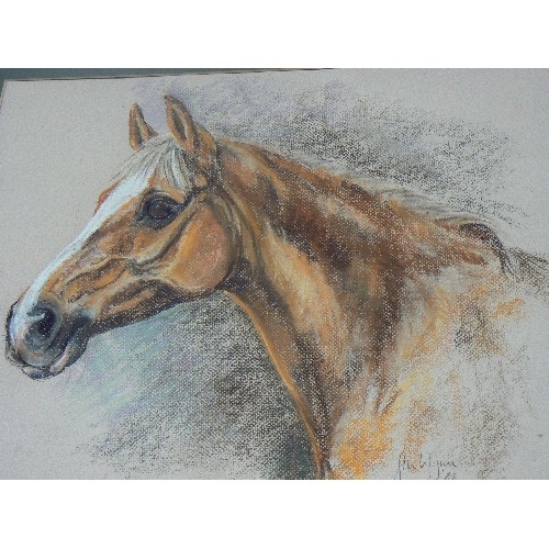 93 - HORSE INTEREST. BEAUTIFUL 'SIAN WYNN 88' CHALK PAINTING. SIGNED. FRAMED BUT UNGLAZED.