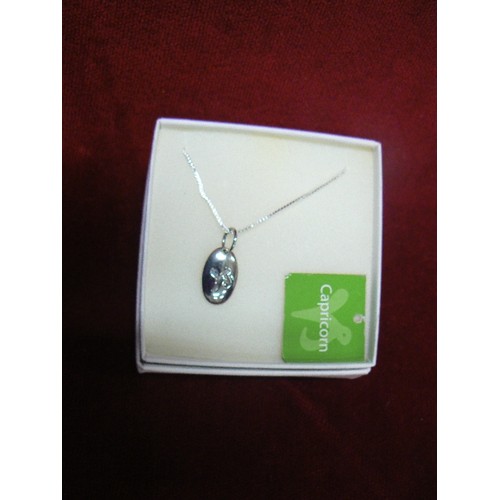 13 - CAPRICORN STERLING SILVER 925 [3.3GM] PENDANT ON SILVER COLOURED CHAIN