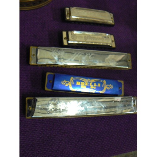 112 - 5 HARMONICAS INCLUDING HOHNER AND HERO