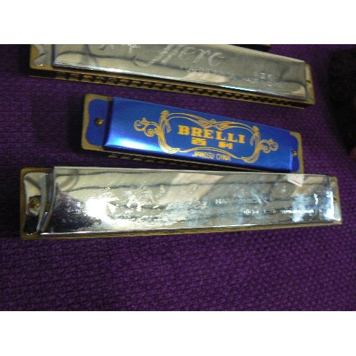 112 - 5 HARMONICAS INCLUDING HOHNER AND HERO