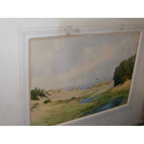 483 - COLLECTORS WATERCOLOUR FRAMED  'SAND DUNES' (NO GLASS)