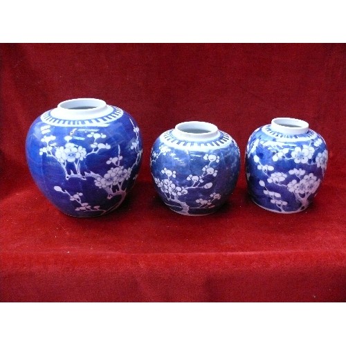 189 - A group of six 19th and 20th Century Chinese ginger jars, including blue & white prunus blossom (two... 