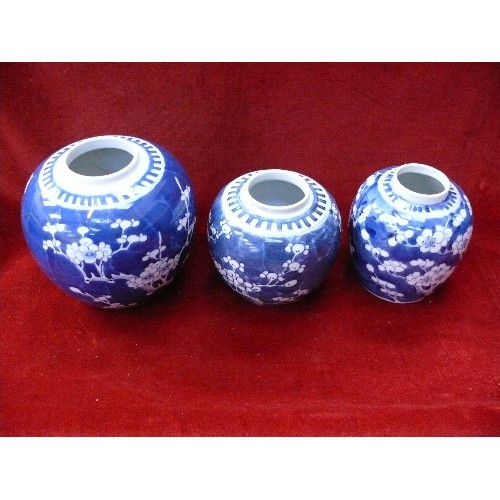 189 - A group of six 19th and 20th Century Chinese ginger jars, including blue & white prunus blossom (two... 