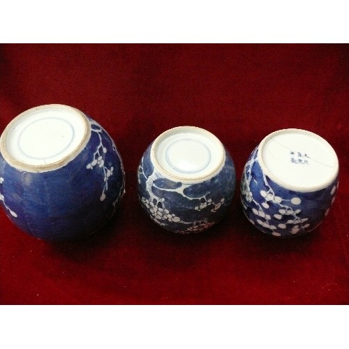 189 - A group of six 19th and 20th Century Chinese ginger jars, including blue & white prunus blossom (two... 