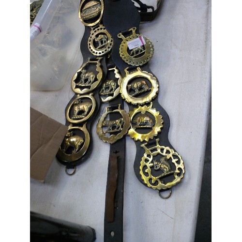 365 - Three leather display straps, all animal themed horse brasses including some rarer antique examples ... 