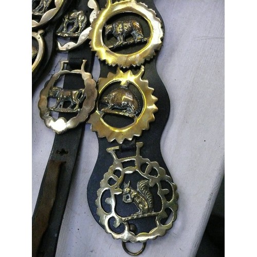 365 - Three leather display straps, all animal themed horse brasses including some rarer antique examples ... 