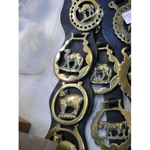 365 - Three leather display straps, all animal themed horse brasses including some rarer antique examples ... 