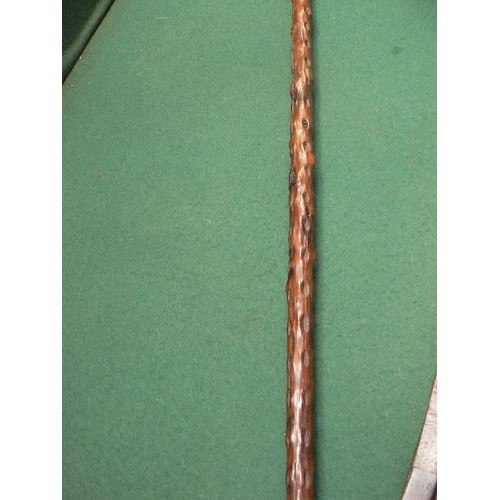 211 - A vintage brussels sprout cane walking stick, with silver tip and band - hallmarked Chester 1918.