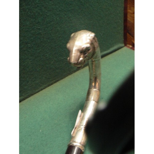 45 - A superb late 19th or early 20th Century walking stick with Continental silver lion head handle. Mar... 