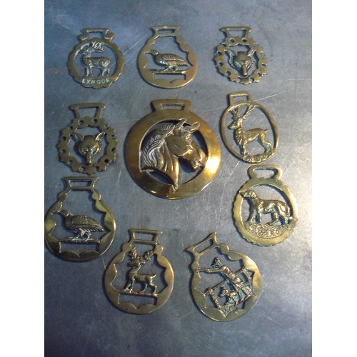 354 - An oversized horse brass with horse head centre and 9 X hunting themed brasses.