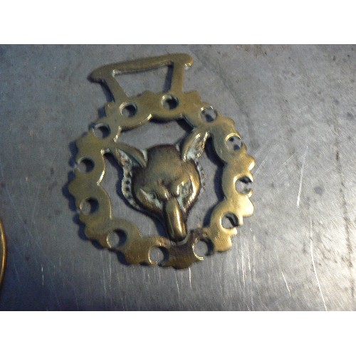 354 - An oversized horse brass with horse head centre and 9 X hunting themed brasses.