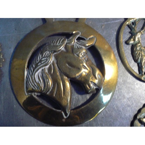 354 - An oversized horse brass with horse head centre and 9 X hunting themed brasses.