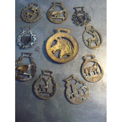 354 - An oversized horse brass with horse head centre and 9 X hunting themed brasses.