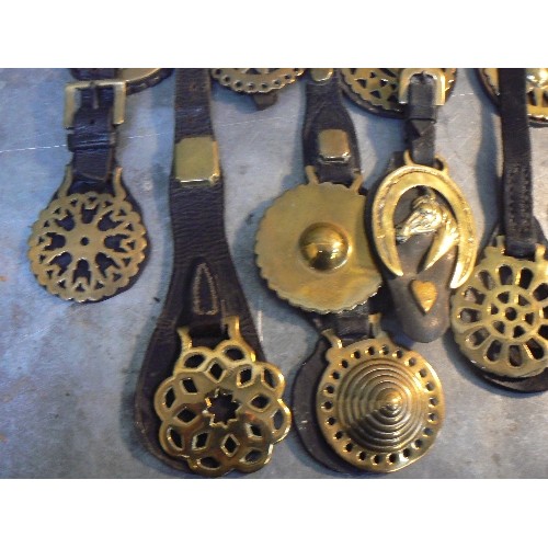 356 - 13 X single and double face piece straps with late 19th & 20th Century horse brasses.