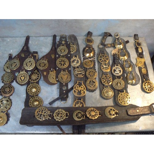 362 - 12 leather martingales and display straps with multiple horse brasses. Includes an antique breast st... 