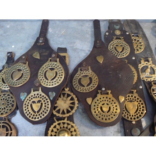 362 - 12 leather martingales and display straps with multiple horse brasses. Includes an antique breast st... 