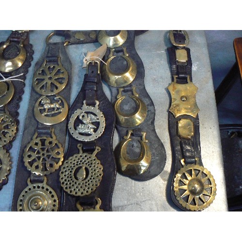 362 - 12 leather martingales and display straps with multiple horse brasses. Includes an antique breast st... 