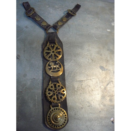 362 - 12 leather martingales and display straps with multiple horse brasses. Includes an antique breast st... 