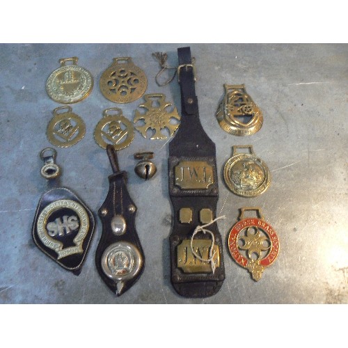 359 - Mixed lot of interesting horse brasses including enamelled NHBS, 2 X Churchill, Scottish white metal... 