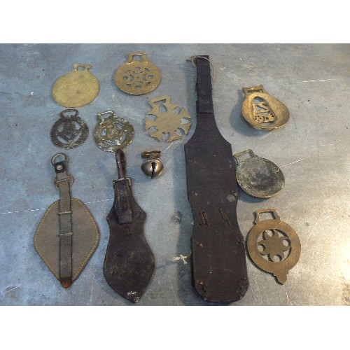 359 - Mixed lot of interesting horse brasses including enamelled NHBS, 2 X Churchill, Scottish white metal... 