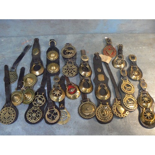 366 - 21 X face piece and display straps all with either single or double horse brasses. Mostly antique an... 