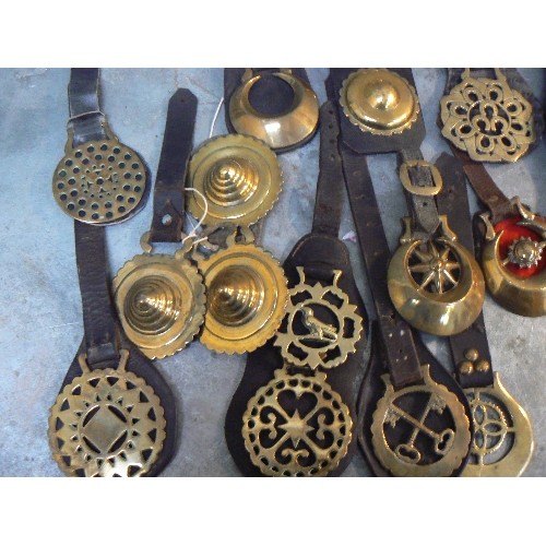 366 - 21 X face piece and display straps all with either single or double horse brasses. Mostly antique an... 