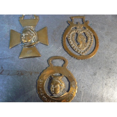 367 - 12 royal themed horse brasses including 3 of Queen Victoria, Edward VII,  Edward VIII, George VI & E... 