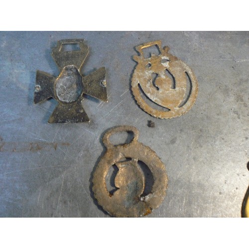 367 - 12 royal themed horse brasses including 3 of Queen Victoria, Edward VII,  Edward VIII, George VI & E... 