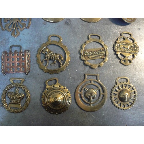 368 - A collection of 16 more uncommon type antique horse brasses including an early tiger amongst foliage... 