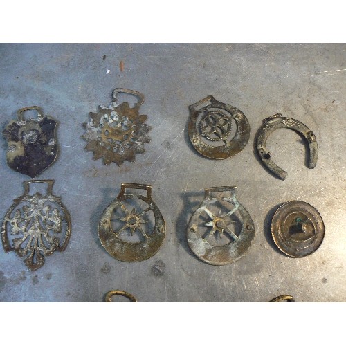 368 - A collection of 16 more uncommon type antique horse brasses including an early tiger amongst foliage... 