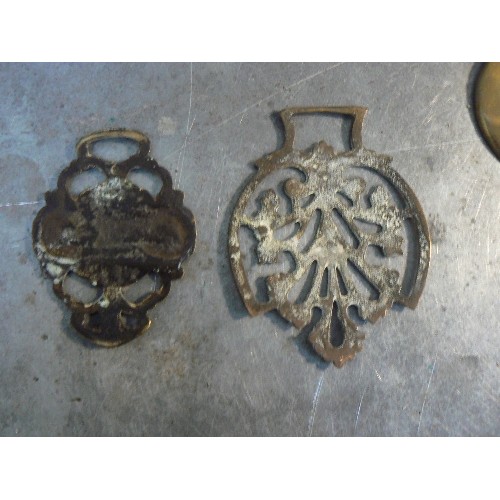 368 - A collection of 16 more uncommon type antique horse brasses including an early tiger amongst foliage... 