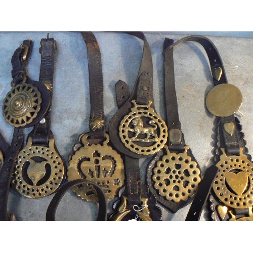 370 - 25 X face piece straps with single & double horse brasses - many antique.