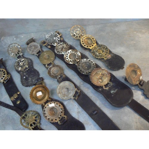 372 - 8 leather martingales and harness straps with Victorian stamped horse brasses, stars, raised dome ce... 