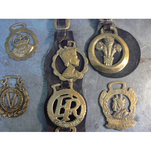 376 - 11 x royalty themed horse brasses including Queen Victoria cross, a well cast George V coronation 19... 