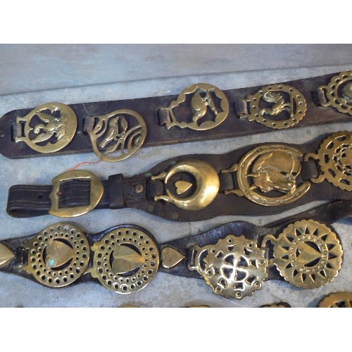 378 - 10 good martingale and display straps with mostly 19th and early 20th century horse brasses. Include... 