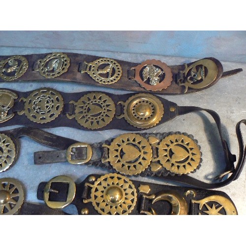 378 - 10 good martingale and display straps with mostly 19th and early 20th century horse brasses. Include... 