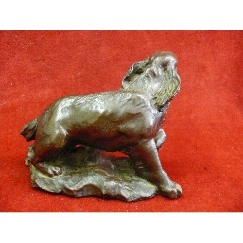 80 - Figure of a Spaniel dog in cold cast bronze