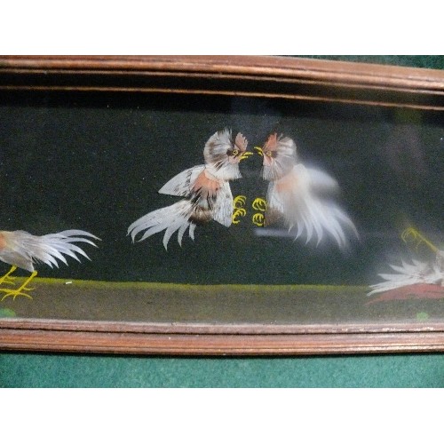 99 - Early 20th Century folk art feather picture of cockfighting in a wooden frame - 38cm x 12cm