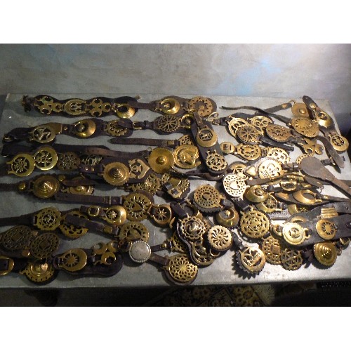 387 - Large quantity (over 50) face piece straps with single or double horse brasses. 19th & first half 20... 