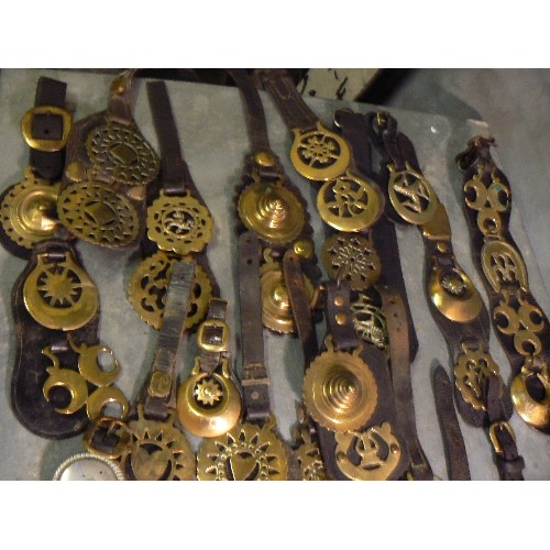 387 - Large quantity (over 50) face piece straps with single or double horse brasses. 19th & first half 20... 