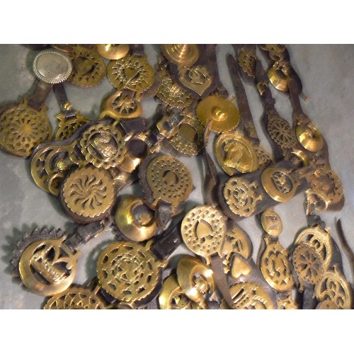 387 - Large quantity (over 50) face piece straps with single or double horse brasses. 19th & first half 20... 