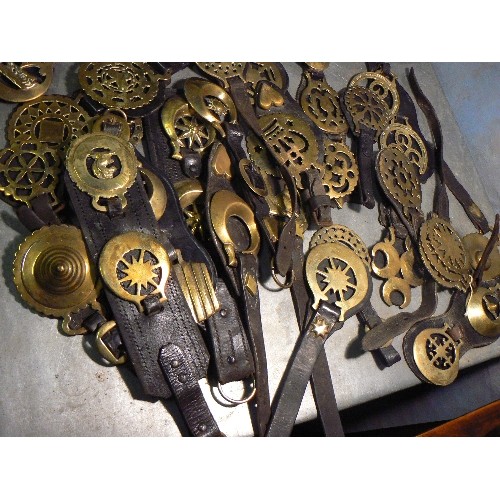 387 - Large quantity (over 50) face piece straps with single or double horse brasses. 19th & first half 20... 