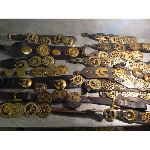 388 - Large quantity (approx 40) of martingales and display straps all with multiple horse brasses. Mostly... 