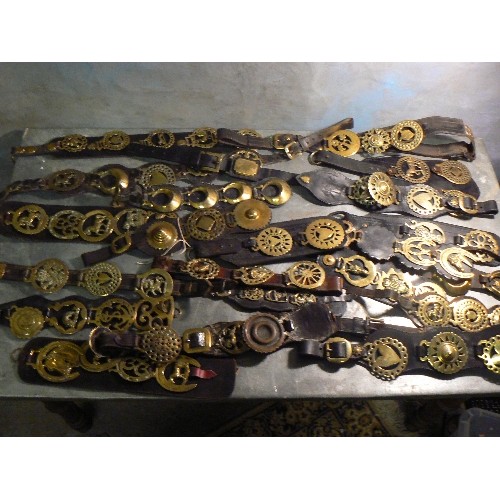 388 - Large quantity (approx 40) of martingales and display straps all with multiple horse brasses. Mostly... 