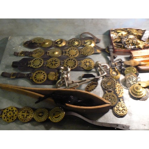 394 - LAST HORSE BRASS LOT. Good mixed lot including plumes, 8 X martingale & display straps with some goo... 