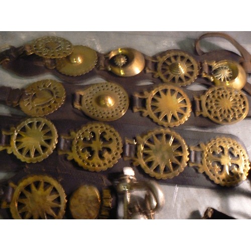 394 - LAST HORSE BRASS LOT. Good mixed lot including plumes, 8 X martingale & display straps with some goo... 